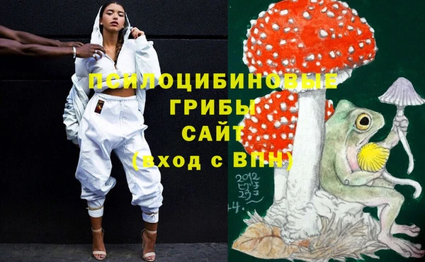 прущий лед Богородицк