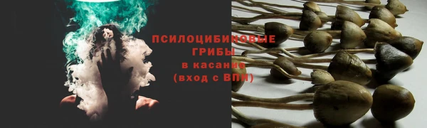 альфа пвп Богородск