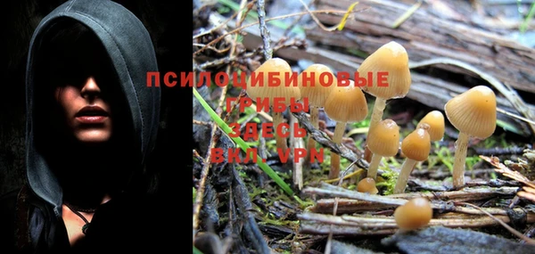 ALPHA PVP Богданович