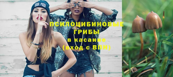 2c-b Покачи