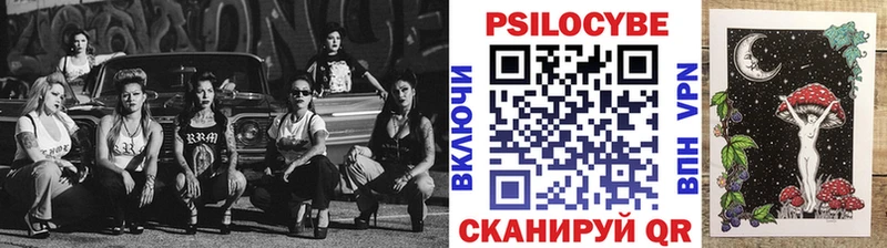 наркота  Трубчевск  Псилоцибиновые грибы Psilocybe 